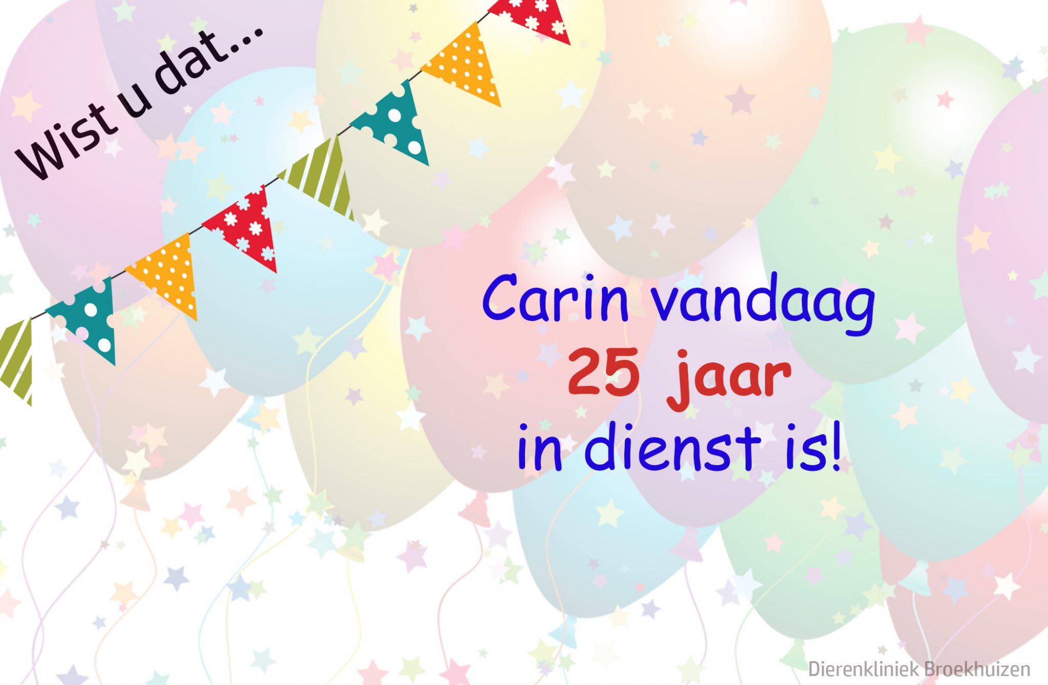 Carin 25 Jaar In Dienst Dierenkliniek Broekhuizen